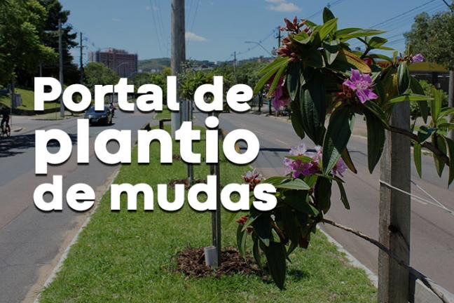 Plantio em Porto Alegre