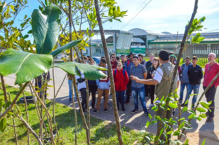 MEIO AMBIENTE E SUSTENTABILIDADE