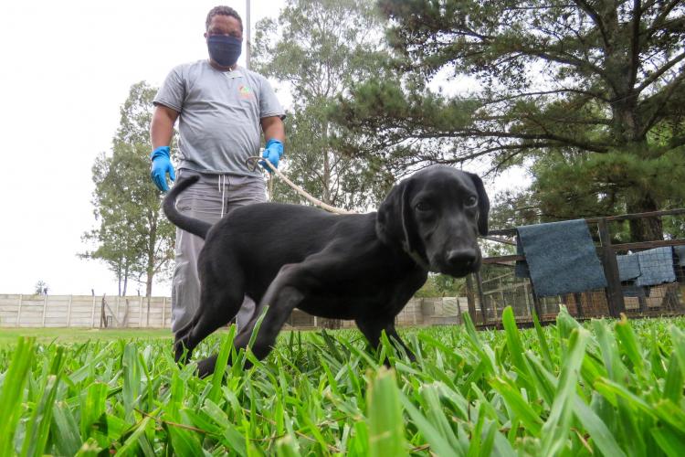 MEIO AMBIENTE E SUSTENTABILIDADE 