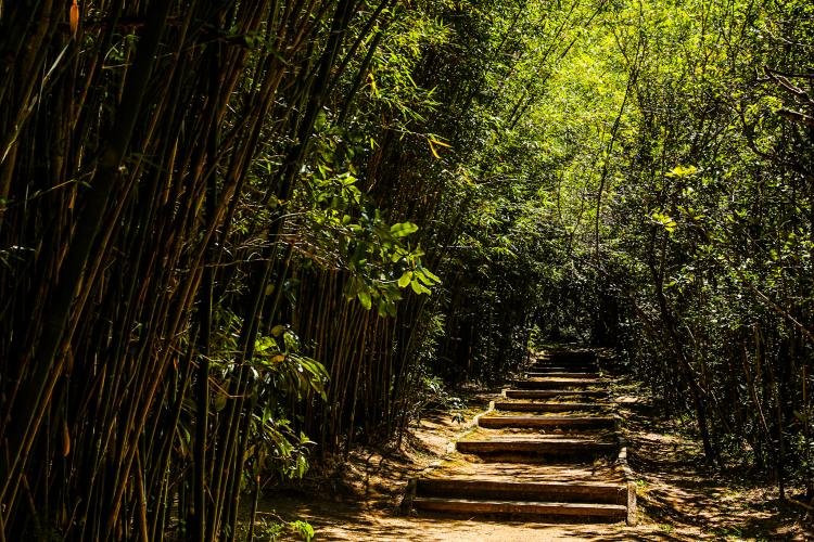 Obras e infraestrutura