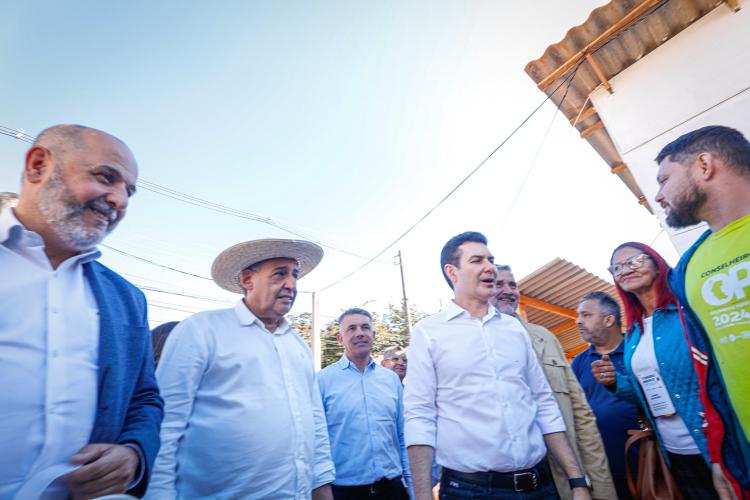 EXECUTIVO 