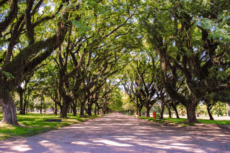 Meio Ambiente, Urbanismo e Sustentabilidade Meio Ambiente, Urbanismo e Sustentabilidade
