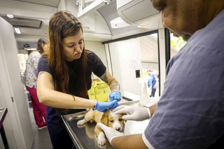 GABINETE DA CAUSA ANIMAL