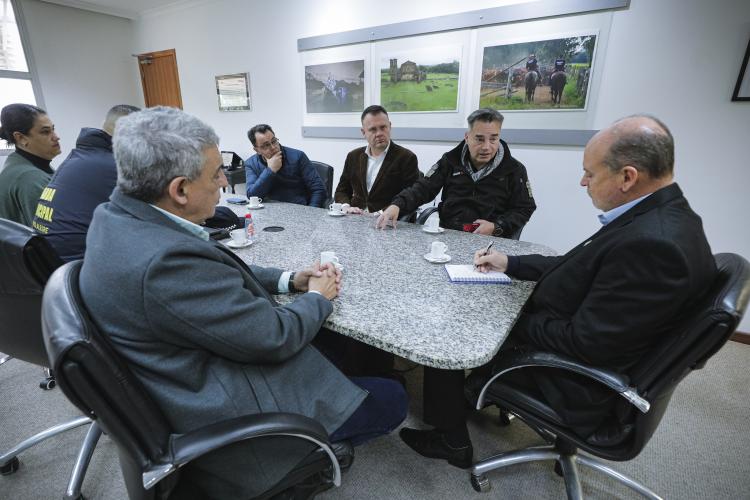 Executivo