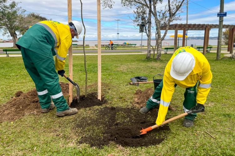 Meio Ambiente, Urbanismo e Sustentabilidade 
