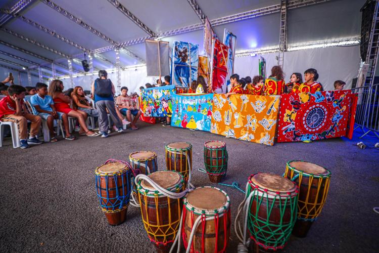 INCLUSÃO E DESENVOLVIMENTO HUMANO INCLUSÃO E DESENVOLVIMENTO HUMANO