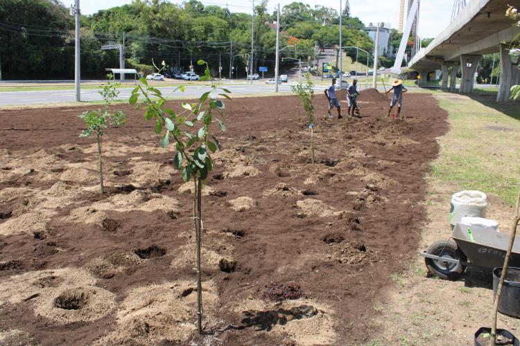 MEIO AMBIENTE URBANISMO E SUSTENTABILIDADE