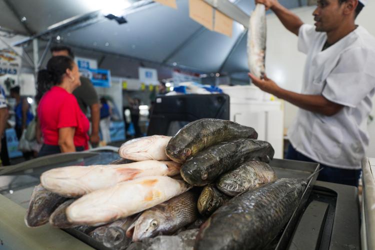 GOVERNANÇA CIDADÃ E DESENVOLVIMENTO RURAL