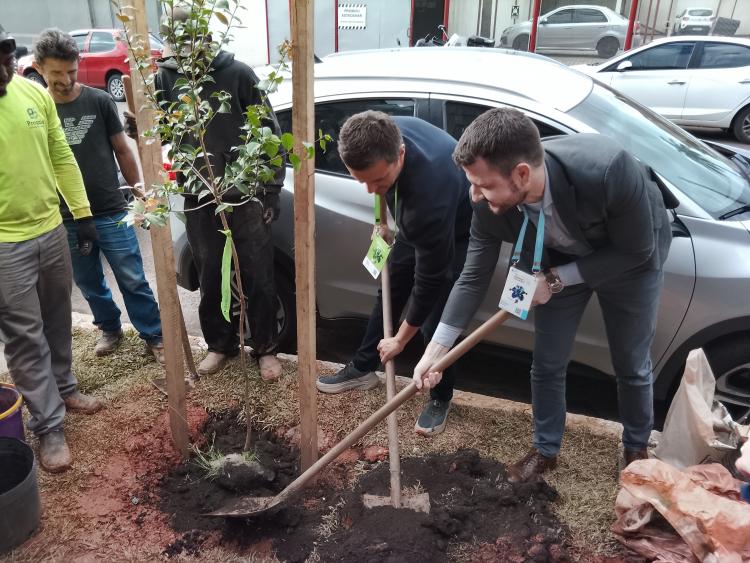 Distrito da Inovação ganha praça e plantio de mil árvores nas vias públicas