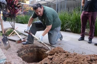MEIO AMBIENTE E SUSTENTABILIDADE