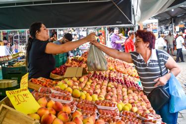 DESENVOLVIMENTO ECONÔMICO