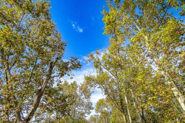 MEIO AMBIENTE URBANISMO E SUSTENTABILIDADE