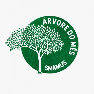 Meio Ambiente, Urbanismo e Sustentabilidade