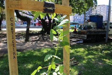 Meio Ambiente, Urbanismo e Sustentabilidade