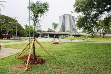 Meio Ambiente, Urbanismo e Sustentabilidade