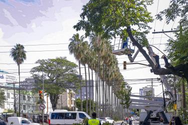 SERVIÇOS URBANOS