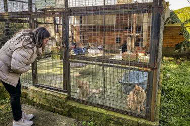 GABINETE DA CAUSA ANIMAL