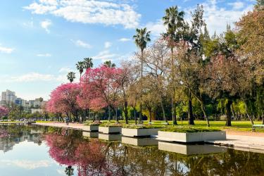Meio Ambiente, Urbanismo e Sustentabilidade