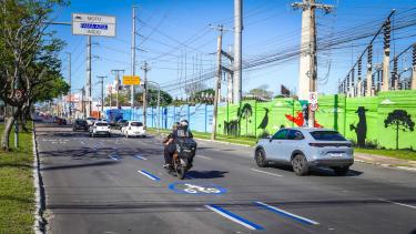 Transporte e Circulação Transporte e Circulação