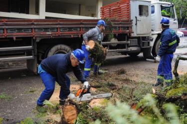 Maioria dos semáforos já opera normalmente