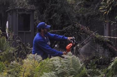 Maioria dos semáforos já opera normalmente