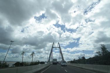 Equipes da prefeitura recolhem árvores caídas na Capital