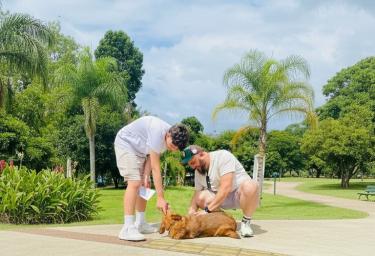 cachorrinha Fanny adotada