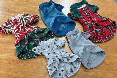 Campanha do Agasalho também arrecada roupas para pets