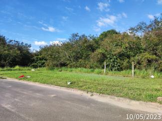 Vista frontal
