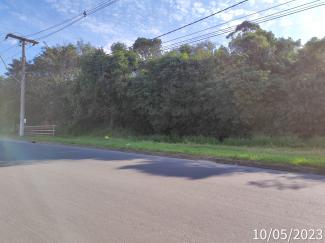 Vista frontal