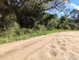 Vista frontal