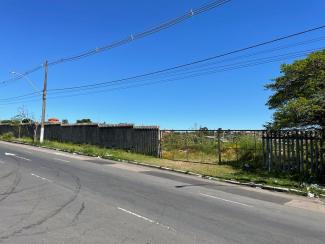 Vista frontal
