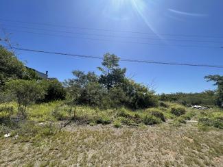 Vista frontal