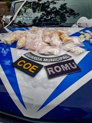 SEGURANÇA