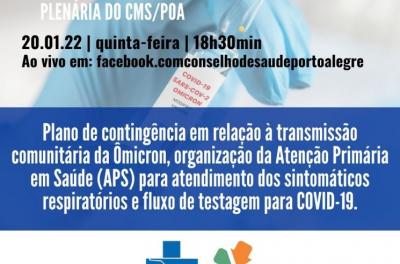 Organização da rede e testagem para Covid-19 serão debatidos na plenária desta quinta, 20