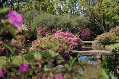 Praça Província de Shiga completa 30 anos