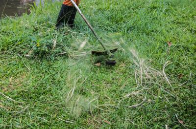 Nesta quinta-feira, 25, está previsto o trabalho em pelo menos 11 locais