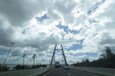 Equipes da prefeitura recolhem árvores caídas na Capital