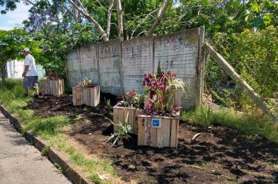 Vila Jardim recebe plantio sustentável