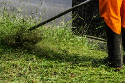 Programação contempla serviços em 17 praças nesta terça-feira