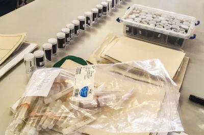 Aedes é tema de capacitação de agentes de combate a endemias