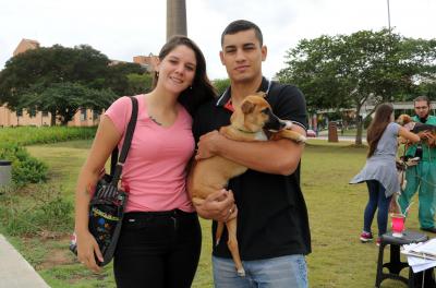 feira de adoção de animais