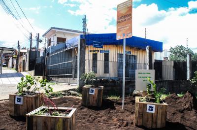 Plantio do DMLU