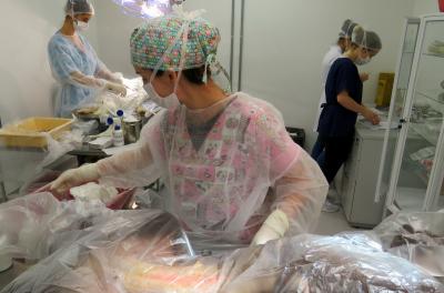 Unidade de Saúde Animal já registra 1.372 castrações em 2019