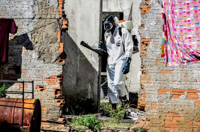 Capital tem 198 casos autóctones de dengue confirmados