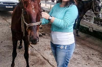 Abrigo de animais da EPTC adota mais dois cavalos