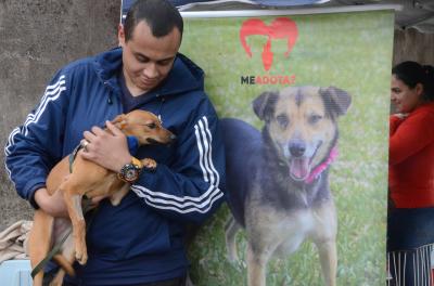 Quatro animais adotados na feira do Me Adota? 