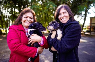 Melhor para o bem-estar e saúde de cães e gatos é ter um lar