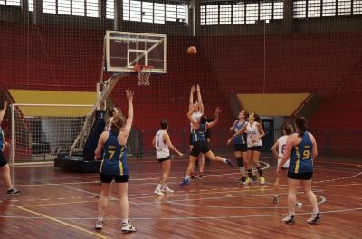 basquete