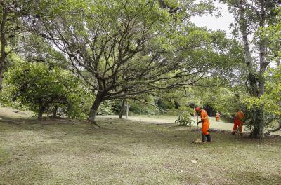 Prefeitura divulga programação de capina e roçada desta sexta